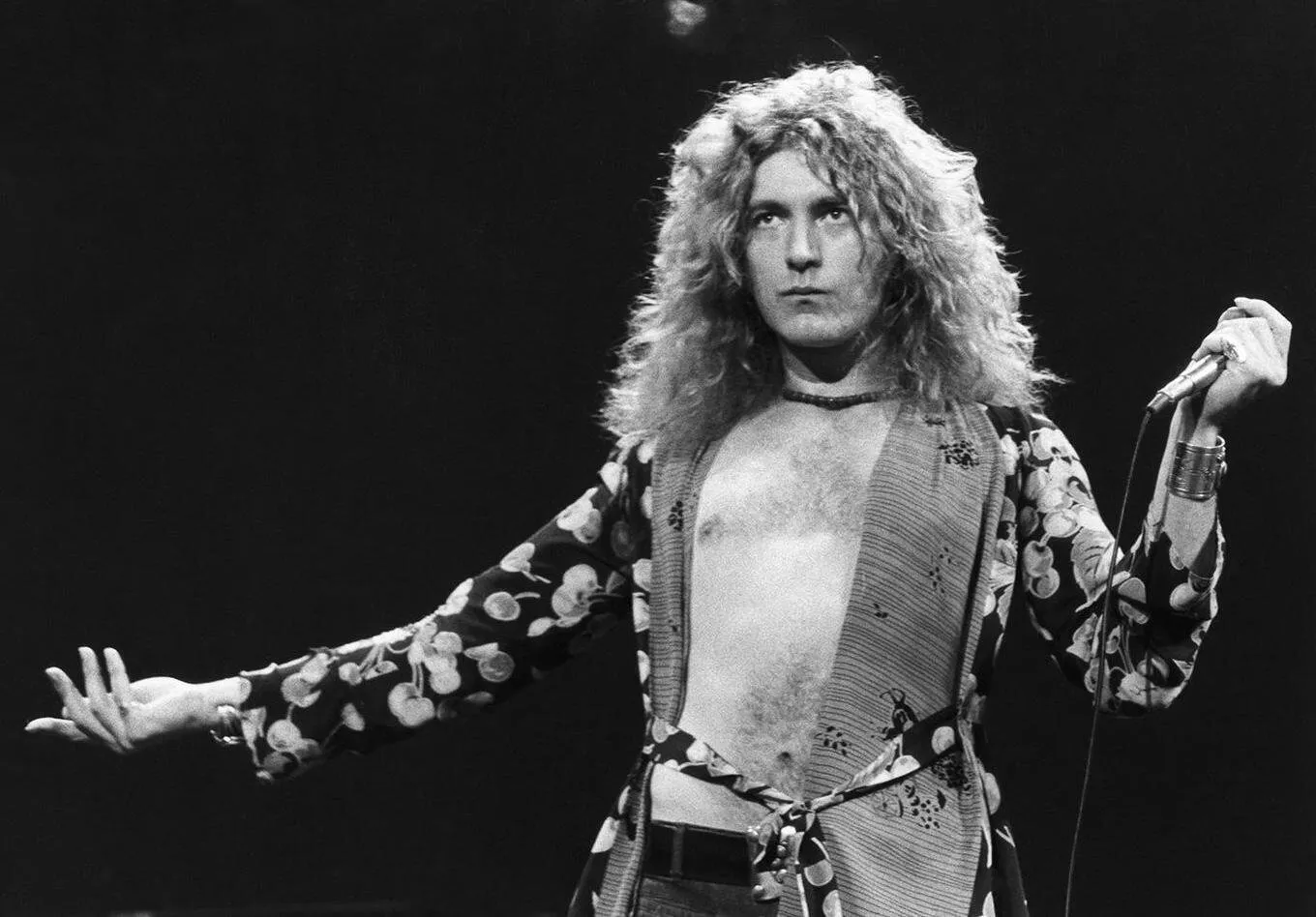 Robert Plant (Led Zeppelin)