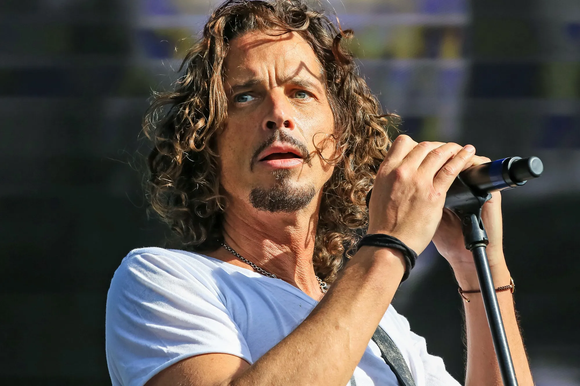 Chris Cornell (Soundgarden)